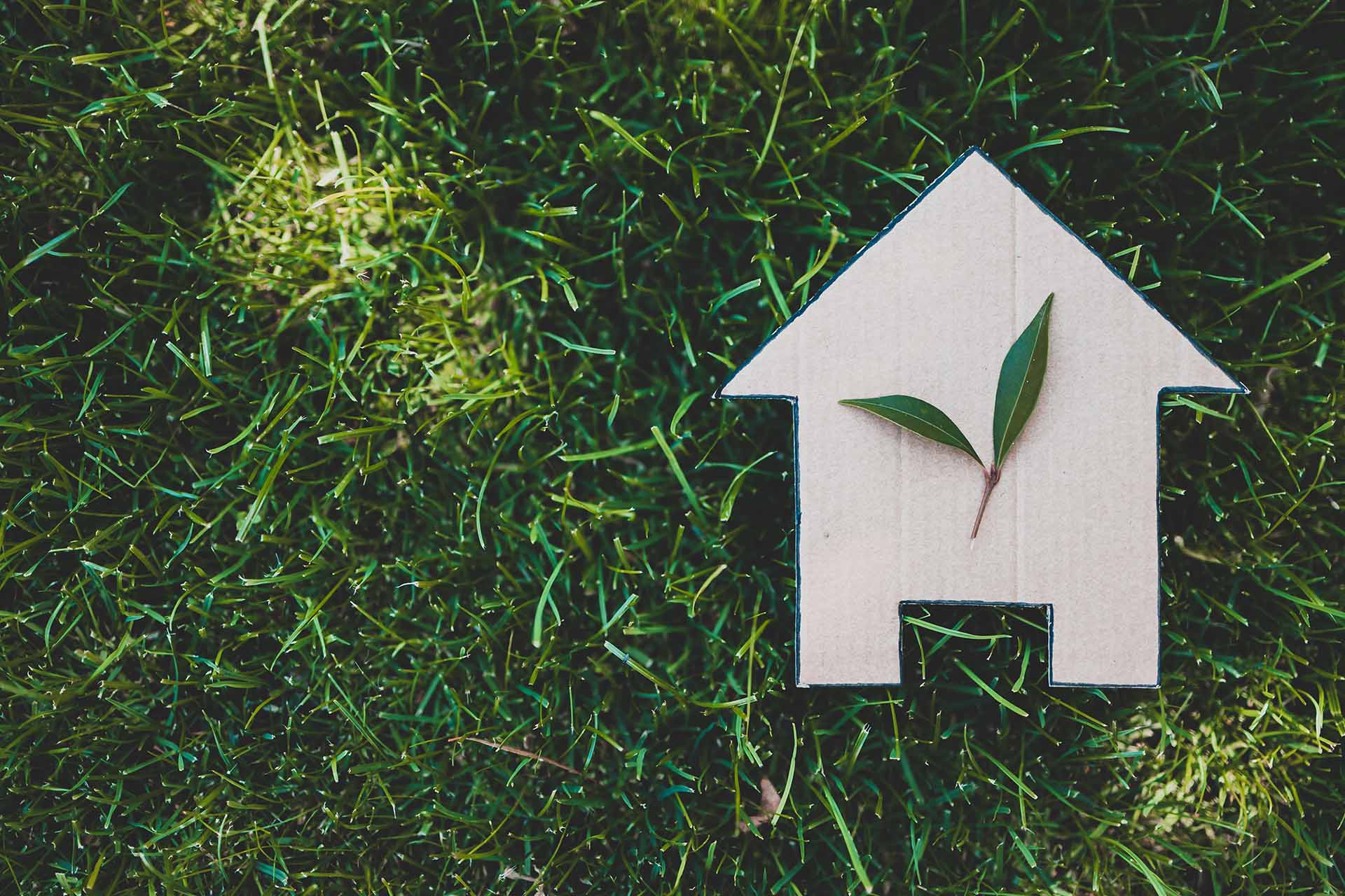5 regole per una casa sostenibile tutto l'anno