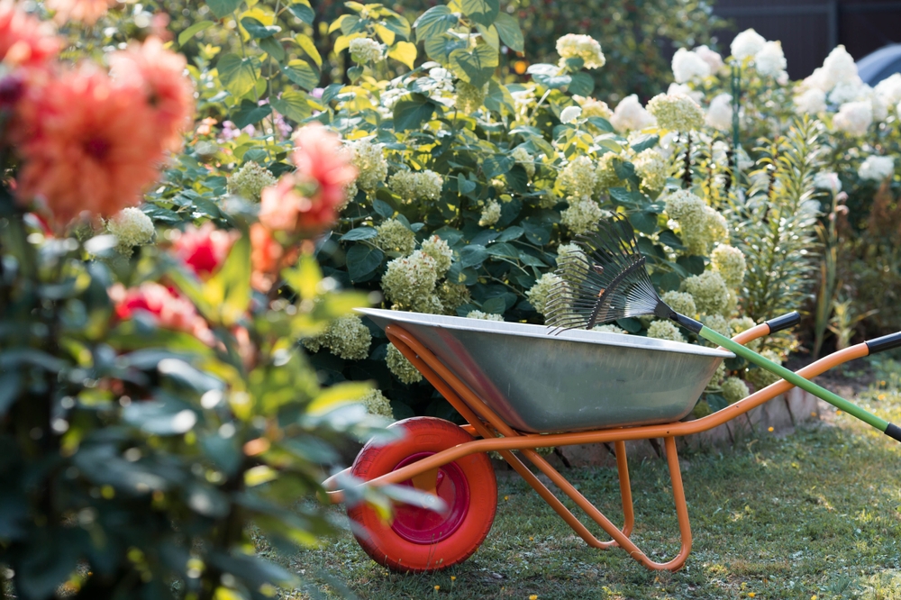 Cosa fare nel giardino a settembre: 11 lavori