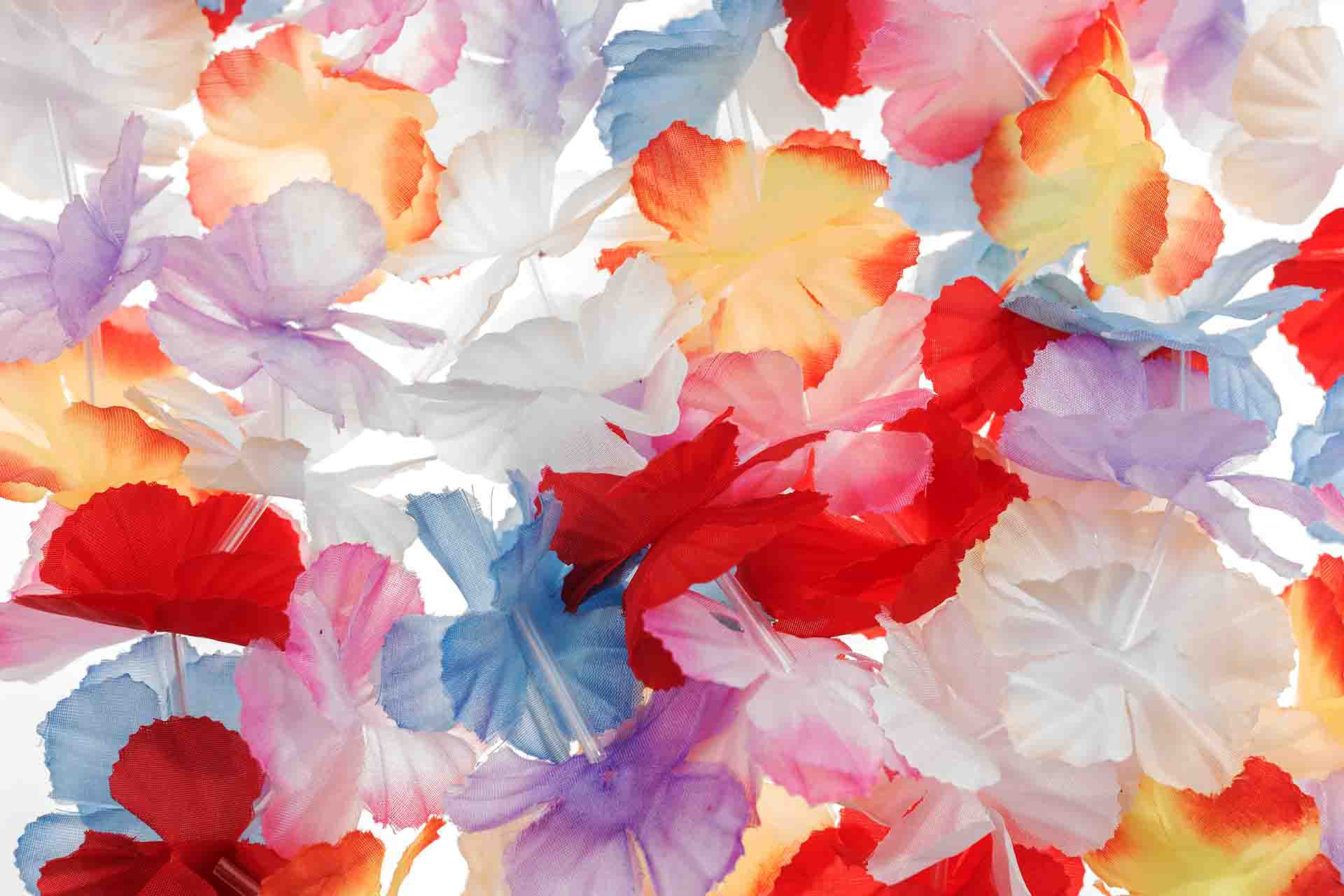 Come realizzare dei fiori hawaiani fai da te