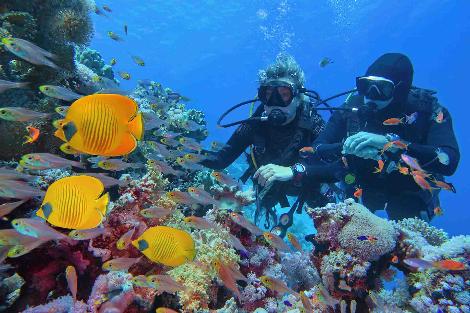Quando andare a Sharm el-Sheikh per trovare il clima migliore