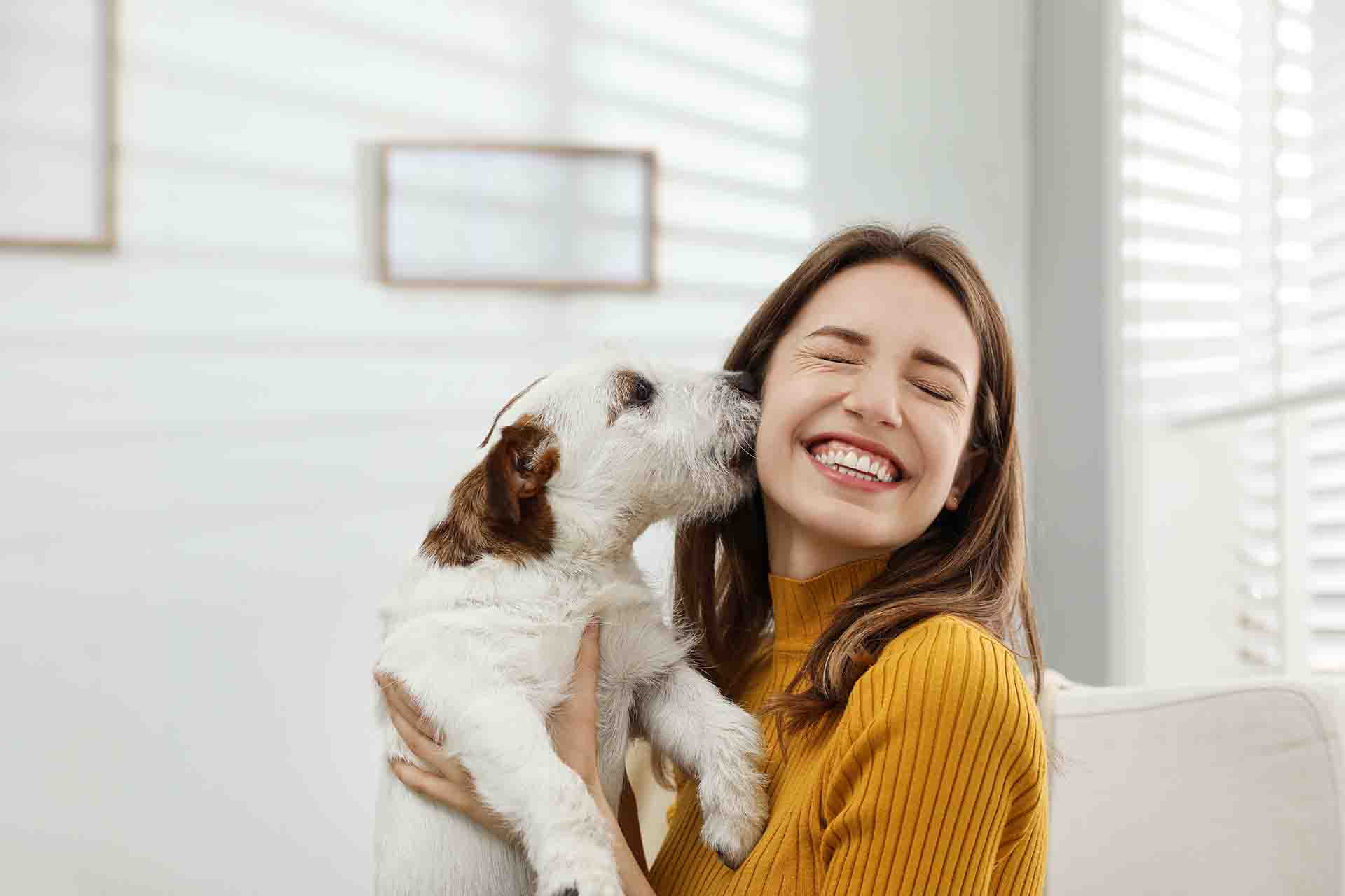 Le più belle frasi sull'amore dei cani