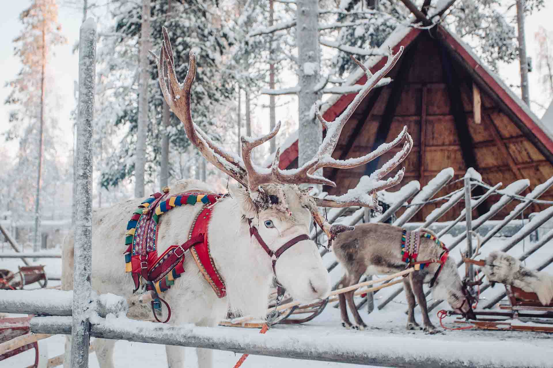 Come raggiungere la casa di Babbo Natale a Rovaniemi
