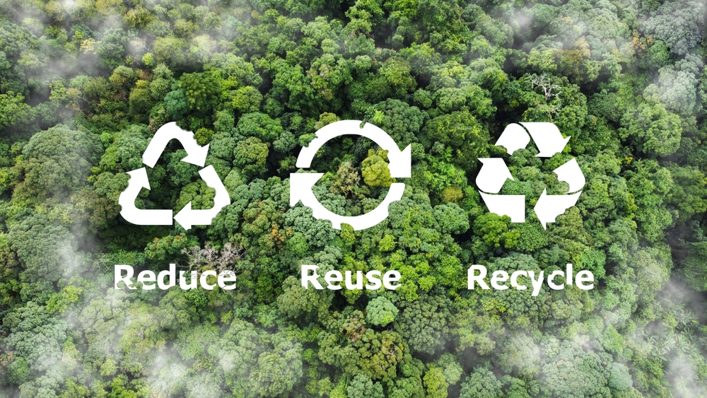6 propositi ecologici per il nuovo anno