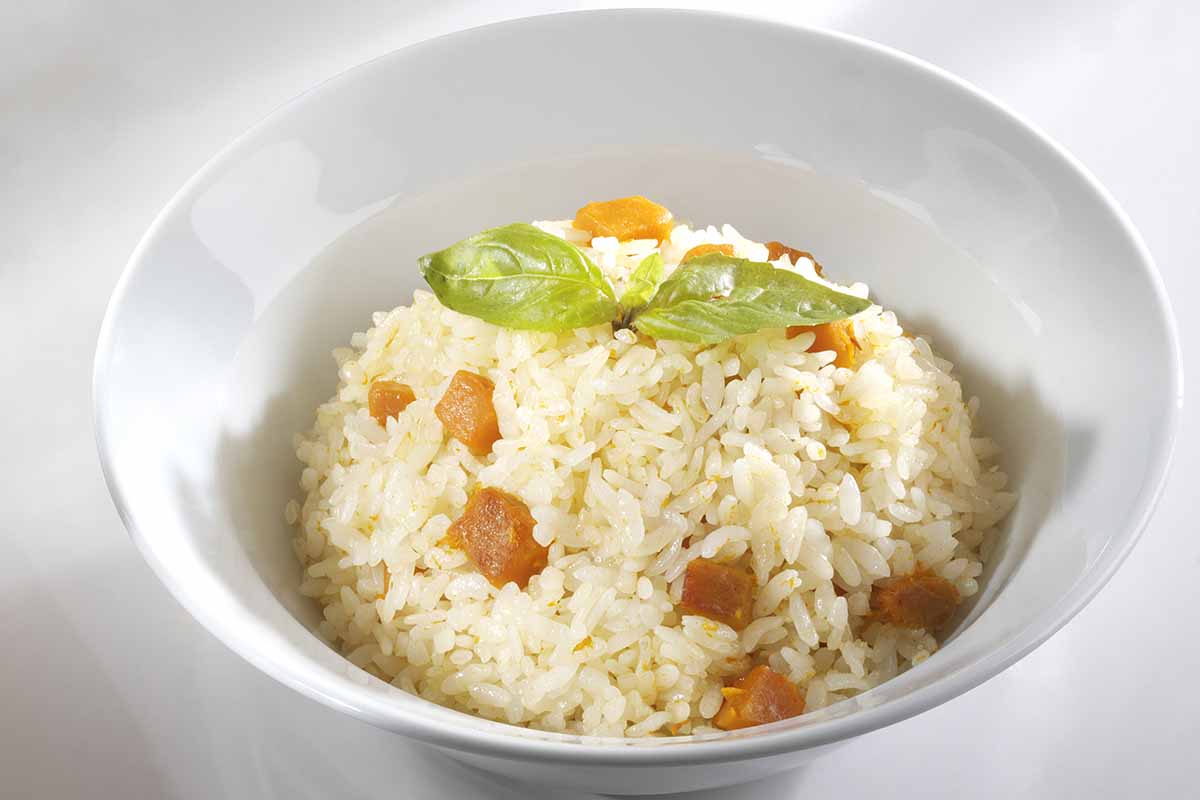 Come si prepara il risotto alle albicocche