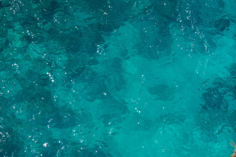 5 film con il mare protagonista