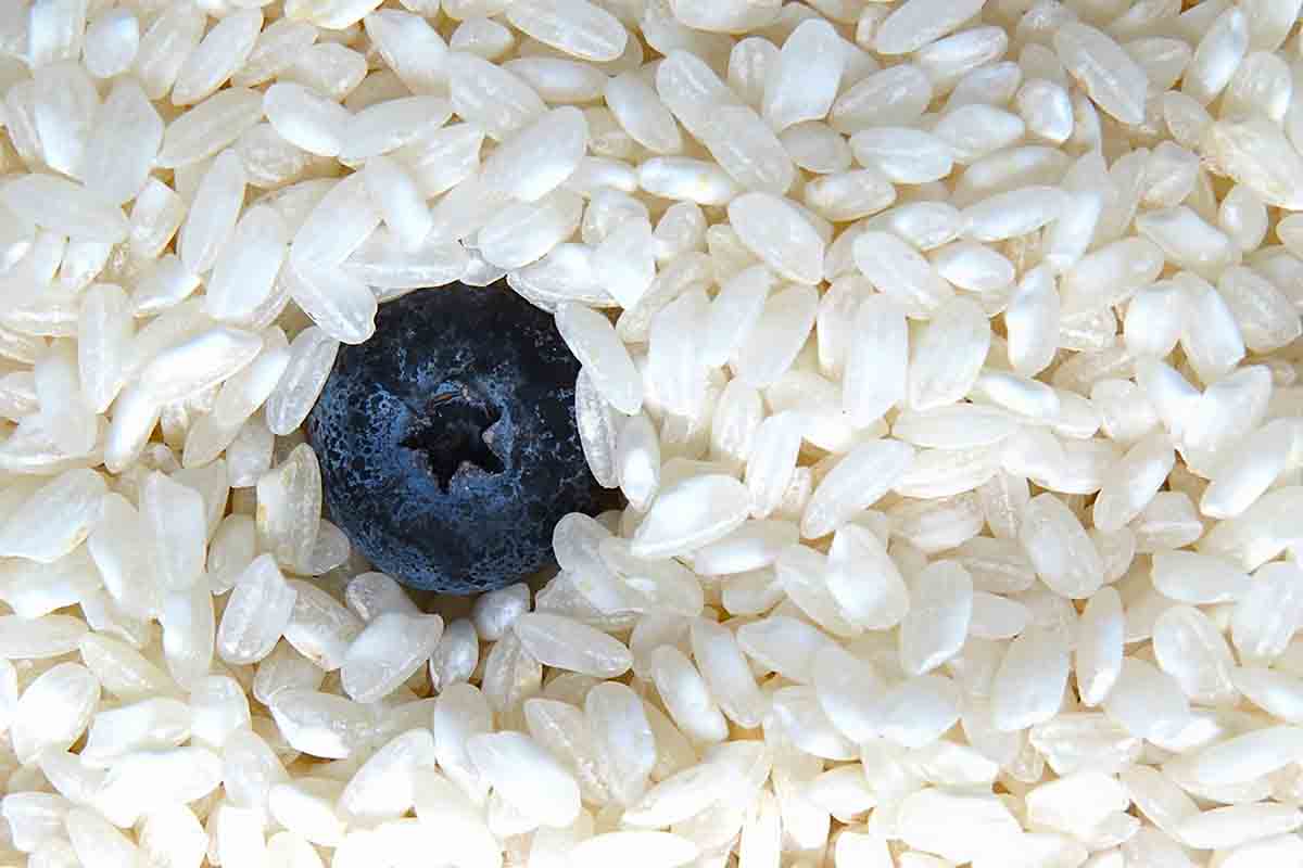 La ricetta del risotto ai mirtilli