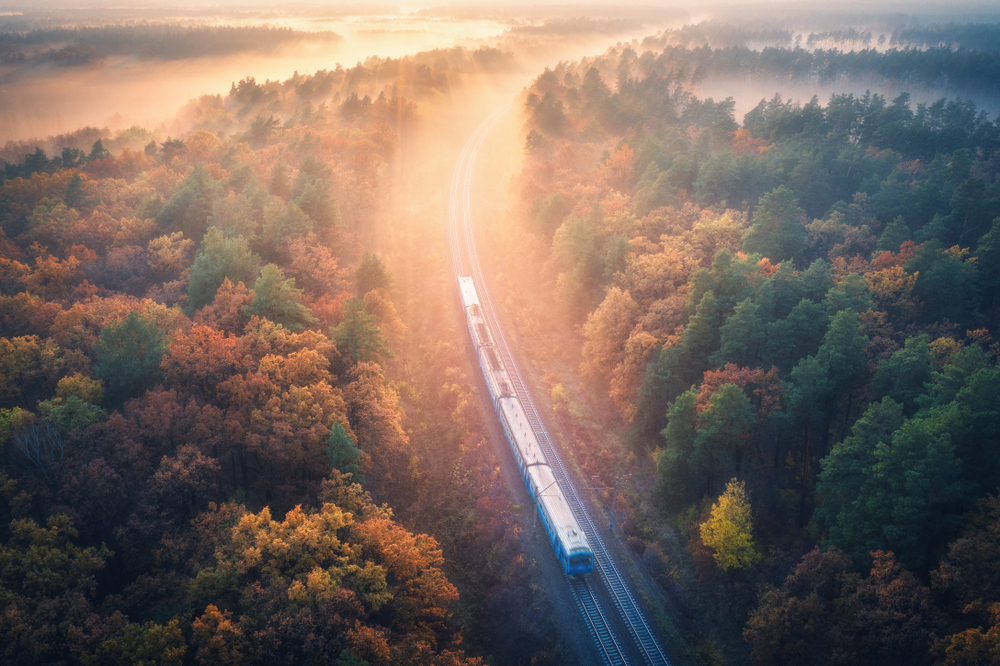 Il treno del foliage: cosa c'è da sapere