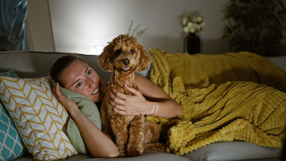 Come migliorare il sonno del tuo animale domestico